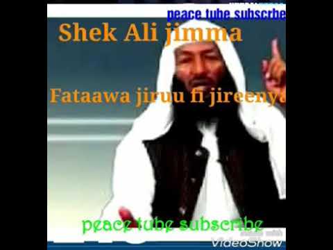 shek Ali Jimma fataawa jiruuf jireenya