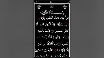 سورة الحجر مكتوبة/ بصوت سعد الغامدي