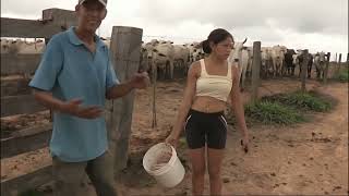 Brazil | The Wages of Fear | Deadliest Journeys