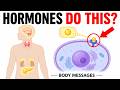 Hormones Explained: How They Control Your Body 🧬