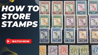 The different options for safely storing a stamp collection: Stamp