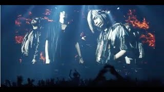 ［Trailer］「The Animals in Screen Ⅲ」ティザー映像/Fear, and Loathing in Las Vegas