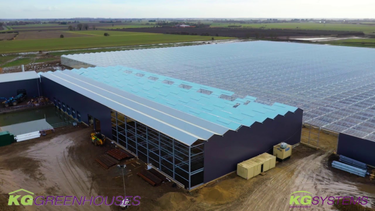 KG Greenhouses - Glasshouse Project: Clay Lake, UK - Phase 8 Growing & Commissioning