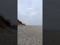 10.12.25 #travel #birds #beach #beachvibes #sea #cute #2025 #прогулка #природа #naturel