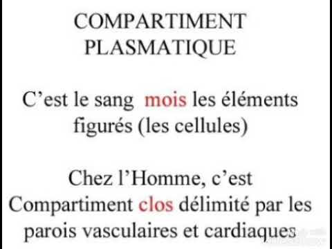 Compartiment plasmatique: chimi du plasma, protéines, ionogramme palsmatiques