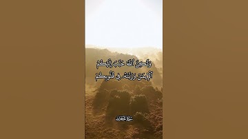#وديع_اليمني #قرآن #سورة_الحجرات  تلاوة هادئة من سورة الحجرات بصوت الشيخ وديع اليمني