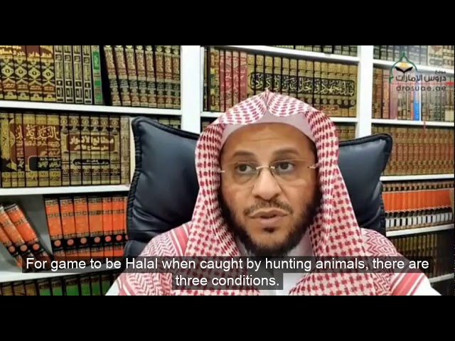 أربعة شروط حتى يكون الصيد حلال إذا أرسلت الجوارح كالكلب أو الطير على الصيد | الشيخ د. عزيز فرحان