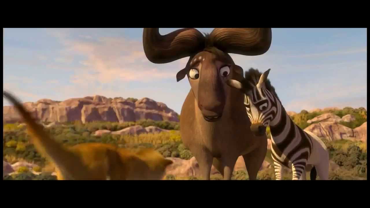 Cesur Zebra Fragman www.cesurzebra.com