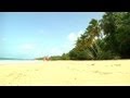 Les plus belles plages de france salines en martinique  2307