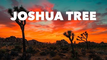 Joshua Tree National Park // Spring Break 2016