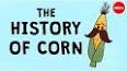 The History of Corn: A Staple Grain with Deep Roots ile ilgili video