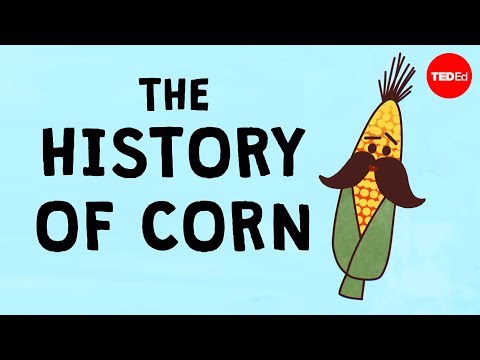 Video: Where Did They Bring Corn To Europe?