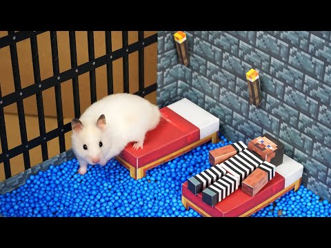 Hamster Escapes from the Minecraft Prison Maze