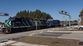 FEC TRAIN 103 @ 10:56am 2-10-26