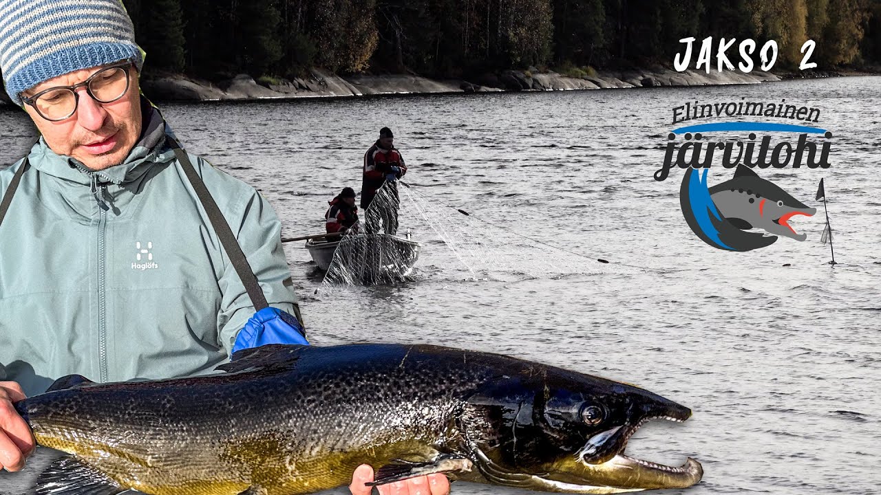 EMOKALAPYYNTI - KATOAVA JÄRVILOHI J2