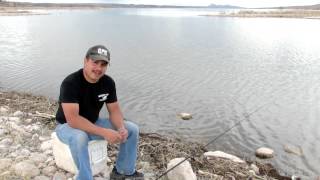 The Secret To Finding The Best Catfish Bait