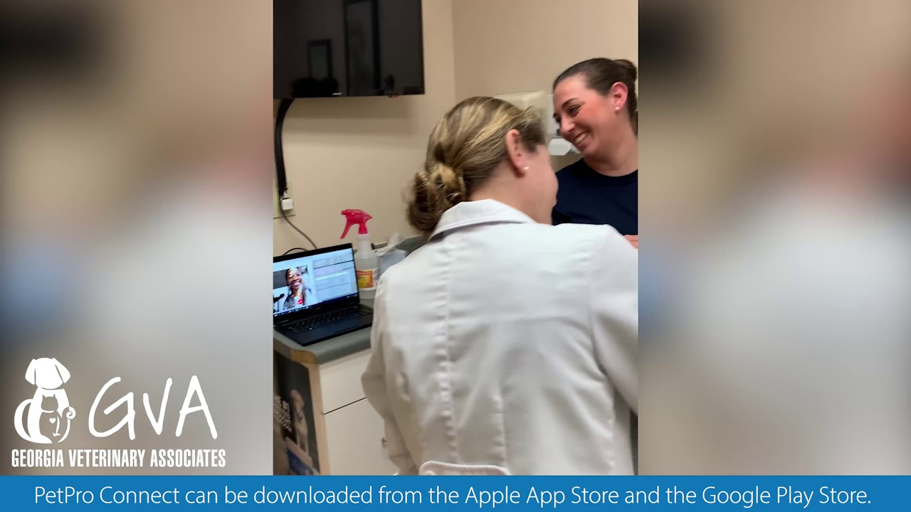 Veterinary Associates and PetPro Connect TeleHealth