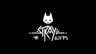 Полное прохождение Stray 4K60FPS (Игрофильм)