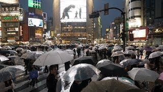 4K・ 【4K】Rainy night at Tokyo Shibuya