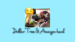 Dollar Tree & Amazon haul ~ BeadCraftbabe