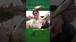 【バス釣り】ステイ中に消し込むバイト「ワカペン」 #issei #赤松健
