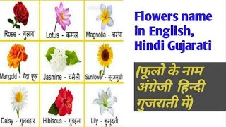 Flowers Name for kids | easy learn flowers name in english hindi and gujarati | फूलों के नाम