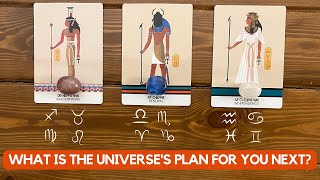 What is The Universe's Plan For You Next? | Timeless Reading