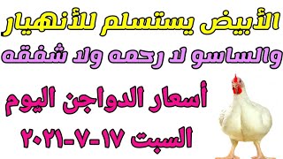 أسعار الدواجن اليوم السبت ١٧-٧-٢٠٢١ جمله وقطاعى فى السوق المحلي فى مصر