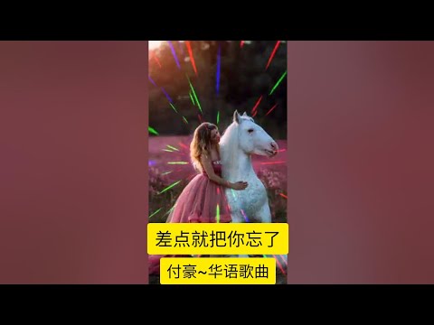 差点就把你忘了-付豪-歌词-DJ版-其实我差点就把你忘了差点就算过去了 旋律优美，韵味十足，情深醉人，扣人心弦,人美歌甜醉人心