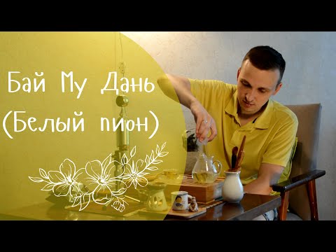 Китайский белый чай Бай Му Дань (белый пион). Свойства, характеристика, общие впечатления