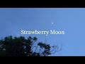 TWICE - Strawberry Moon || Romanized Lyrics