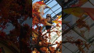 Bellagio Fall Display 2023 #shorts #bellagio #lasvegas