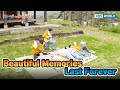 The moment that lasts forever  two days and one night 4 ep2261   kbs world tv 240526