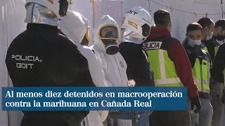 Al Menos Diez Detenidos En Macrooperación Contra La Marihuana En Cañada Real