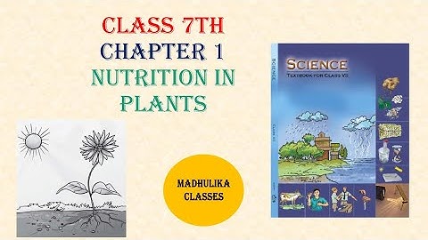 Chapter 1 NUTRITION IN PLANTS class 7th science from NCERT