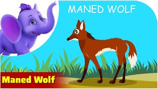 The Maned Wolf Weird Animal Songs Appu Series