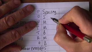 Easy ways to remember the cranial nerves Cranial nerves, Pneumonics and nuclei