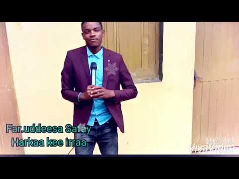 Farfannaa Kana Ittin Eebbifamaa 