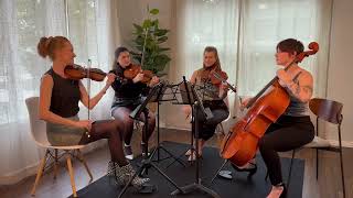 Señorita string quartet cover - Thalia Strings