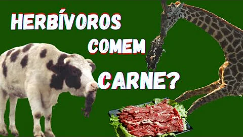 O que acontece se um animal herbívoro comer carne?