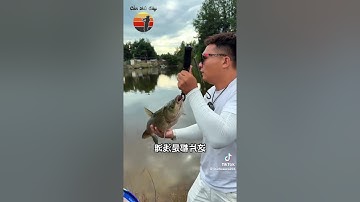 Các cá tự nhiên @cau