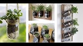 Growing Sweet Potatoes - IN A MASON JAR!!!