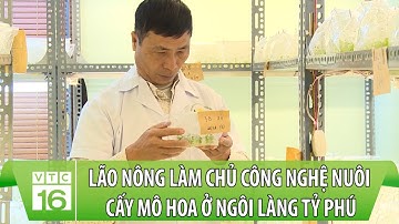 Thán phục lão nông làm chủ công nghệ nuôi cấy mô hoa ở ngôi làng tỷ phú | VTC16
