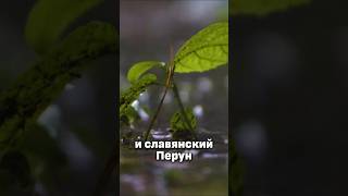 Символизм ДОЖДЯ коротко #религия #мистика #история #shorts