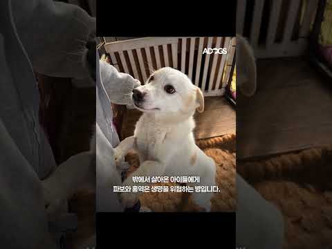 #백신비용후원요청 #도움요청 #레오맘과동행 #어독스