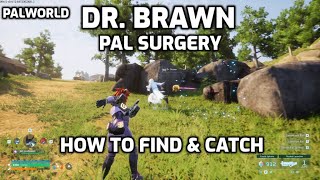 Palworld: Dr. Brawn - How to Find & Catch | Pal Surgery | Rainbow Passives [Updated in Description]
