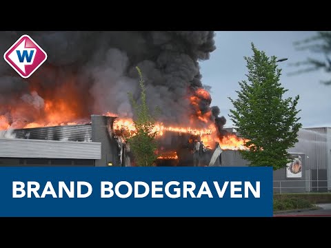 Video: Grote Plaag En Grote Brand In Londen - Alternatieve Mening