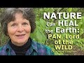 Nature can heal the earth pan lord of the wild  carol anne chapman