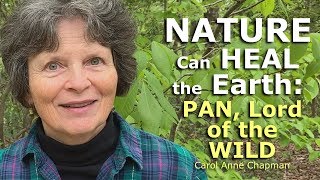 Nature Can Heal The Earth Pan, Lord Of The Wild - Carol Anne Chapman