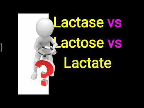 Lactase vs Lactose vs Lactate